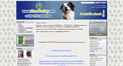 Desktop Screenshot of masopropsy.com